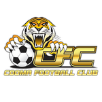 Cooma Tigers logo