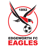 Edgeworth Eagles logo