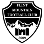 Flint Mountain logo